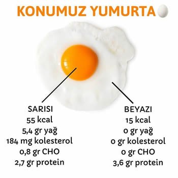 Konumuz Yumurta